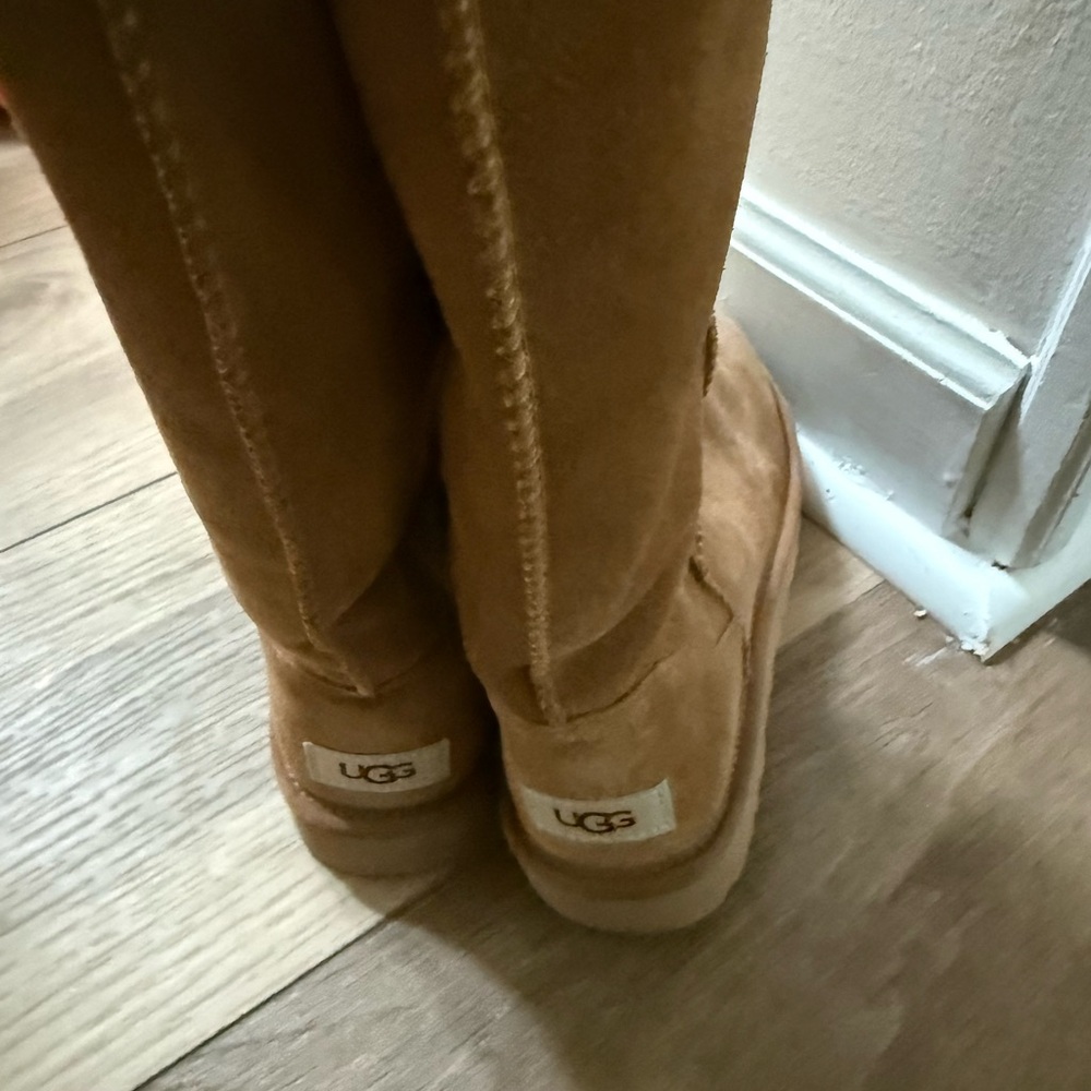UGG Chestnut Suede Tall Booties